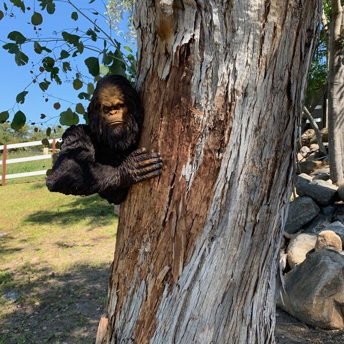 bashful yeti tree statue